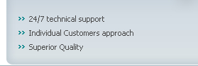 24/7 Technical Support